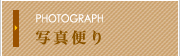 写真便り
