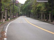 御幸道路