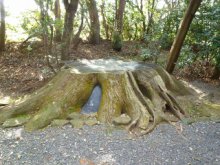 朽羅神社